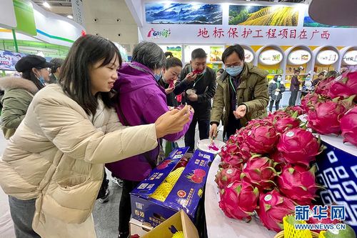 农产品地理标志南宁火龙果借农交会打响知名度
