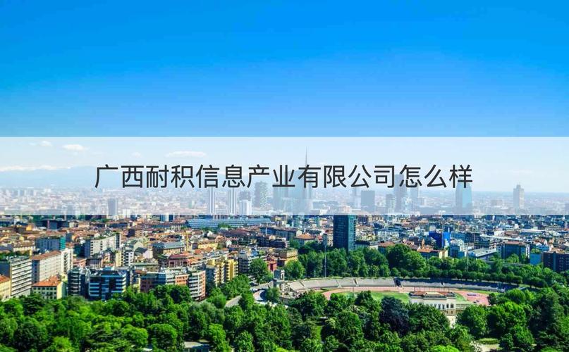 广西耐积信息产业怎么样 工作要求是什么